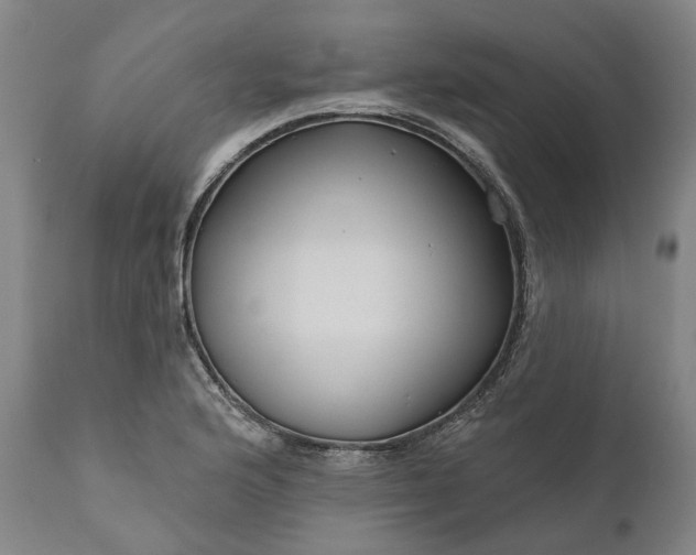 X0000111201176200907151407