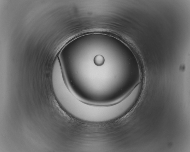 X0000111201177200907151407