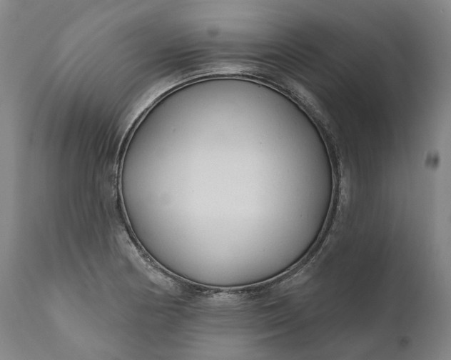 X0000111201178200907151407