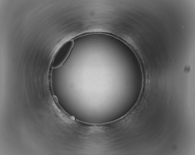 X0000111201181200907151406