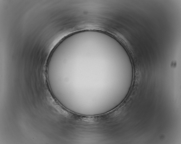 X0000111201182200907151406