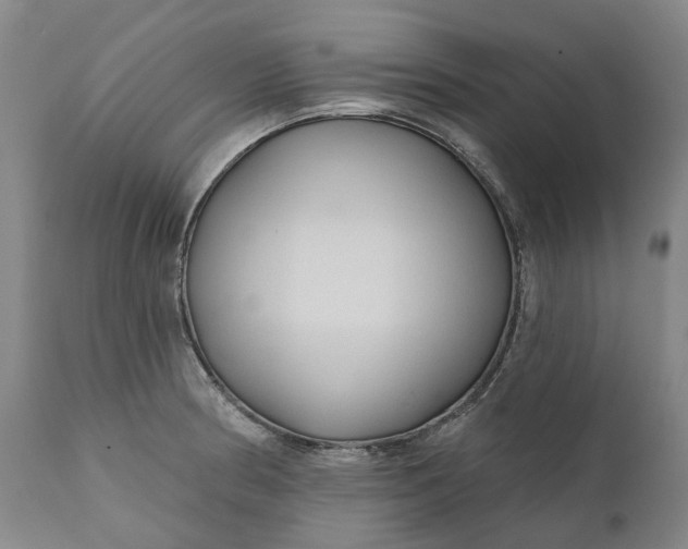 X0000111201186200907151406