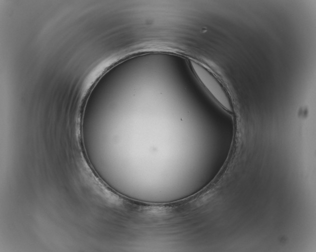 X0000111201188200907151406