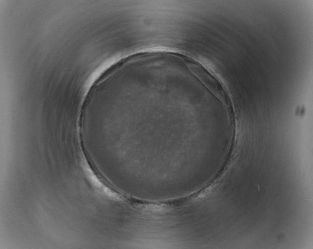 X0000111201189200907151406