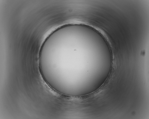 X0000111201191200907151406