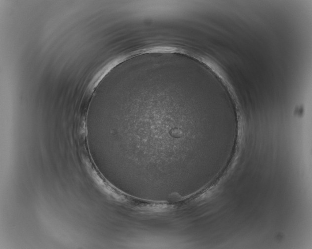 X0000111201193200907151406