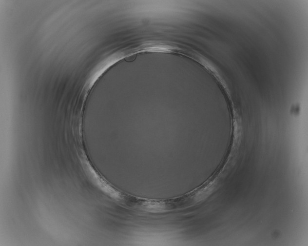 X0000111201194200907151406