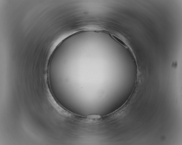 X0000111201195200907151406