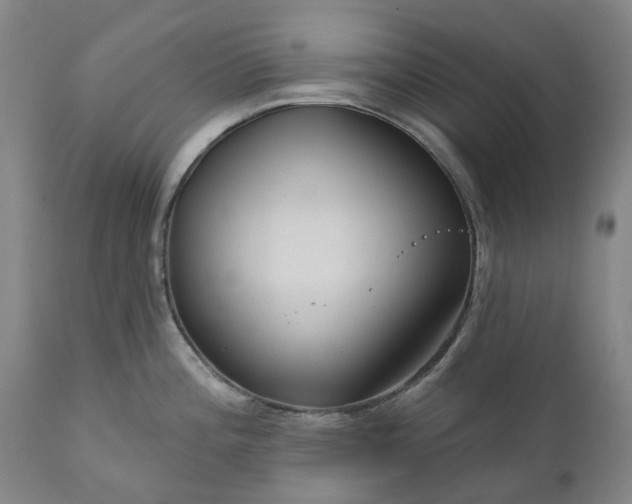 X0000111201196200907151406