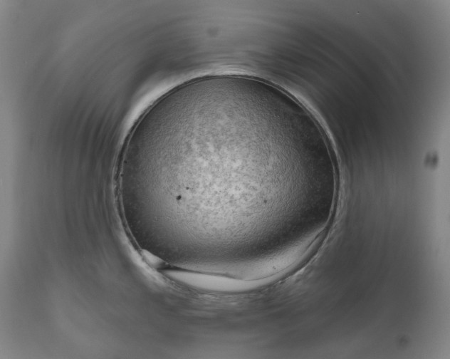 X0000111201197200907151406