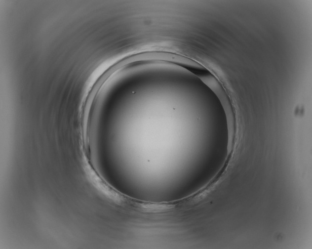 X0000111201200200907151406