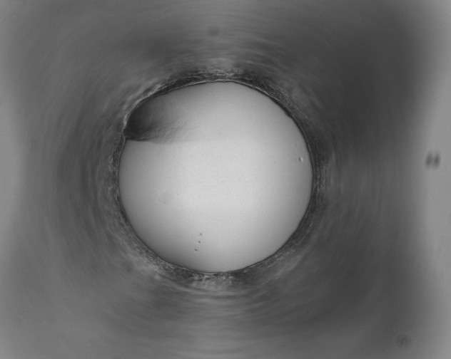 X0000111201201200907151405