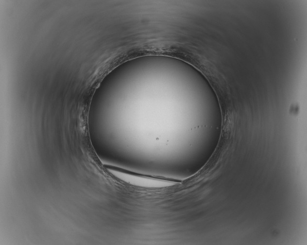 X0000111201202200907151405