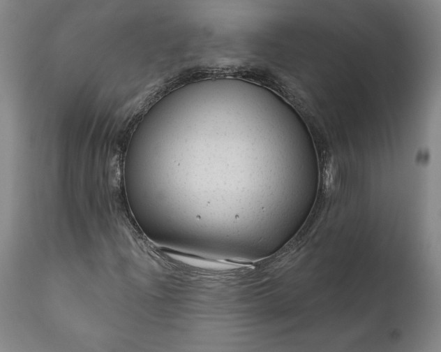 X0000111201204200907151405