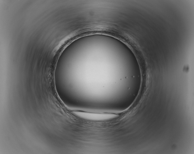 X0000111201210200907151405