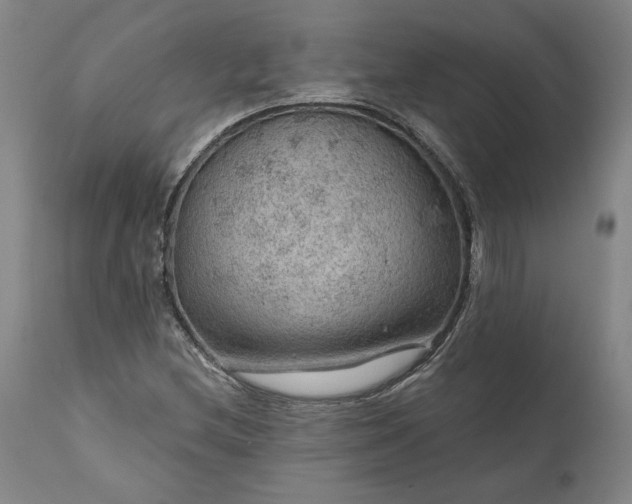 X0000111201212200907151405