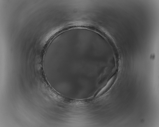 X0000111201213200907151405