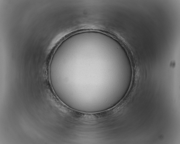 X0000111201215200907151405