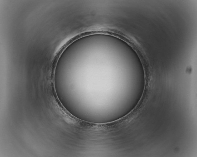 X0000111201216200907151405