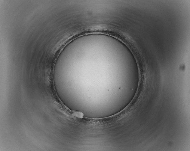 X0000111201217200907151405