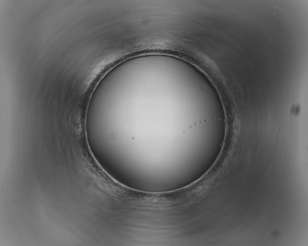 X0000111201218200907151405