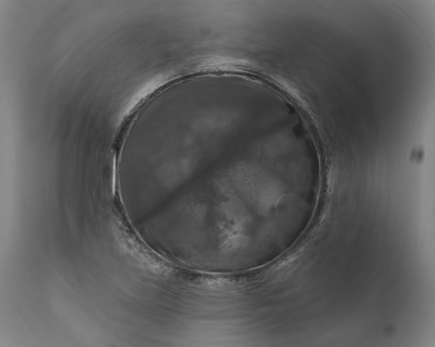 X0000111201219200907151405