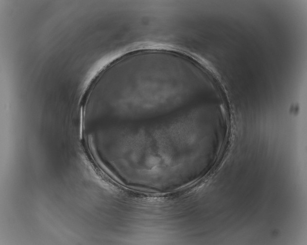 X0000111201223200907151406