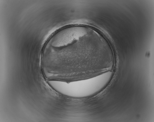 X0000111201224200907151406