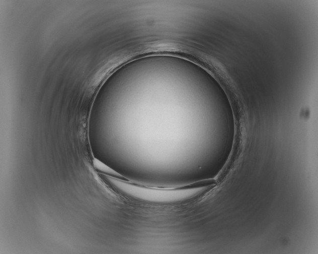 X0000111201225200907151406