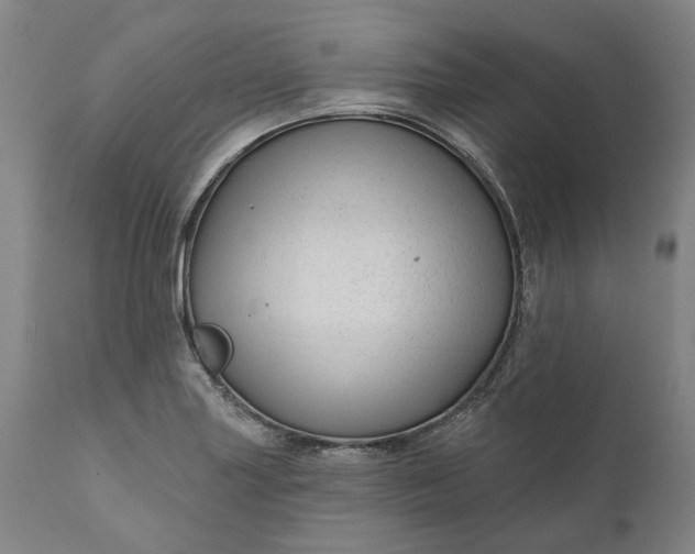 X0000111201227200907151406