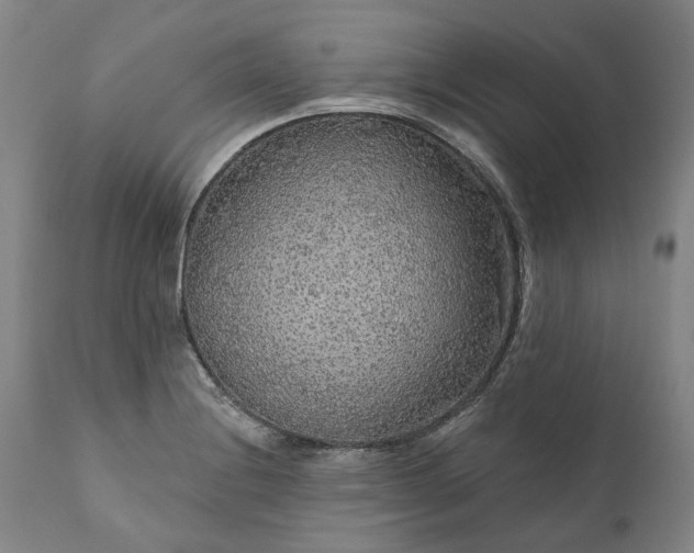 X0000111201228200907151406