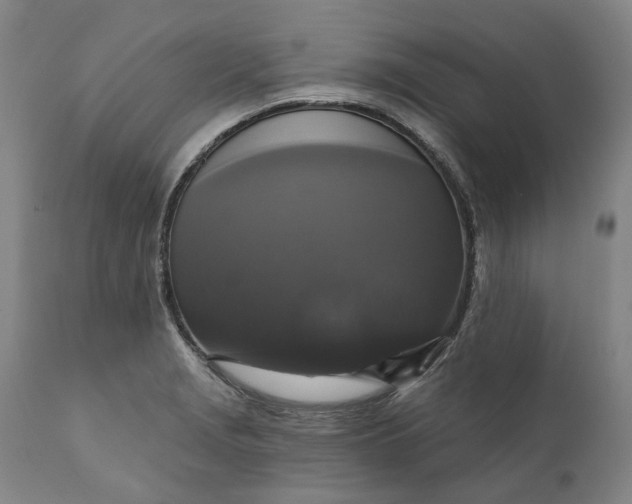 X0000111201229200907151406