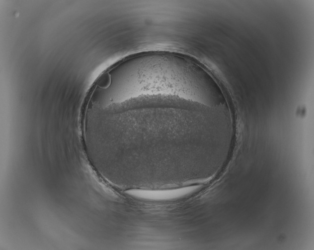 X0000111201230200907151406