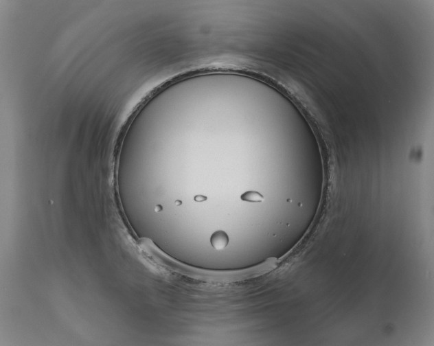 X0000111201232200907151406