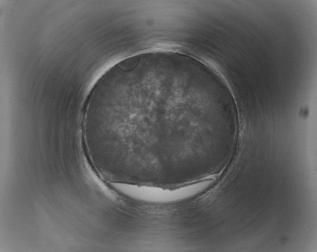 X0000111201235200907151406