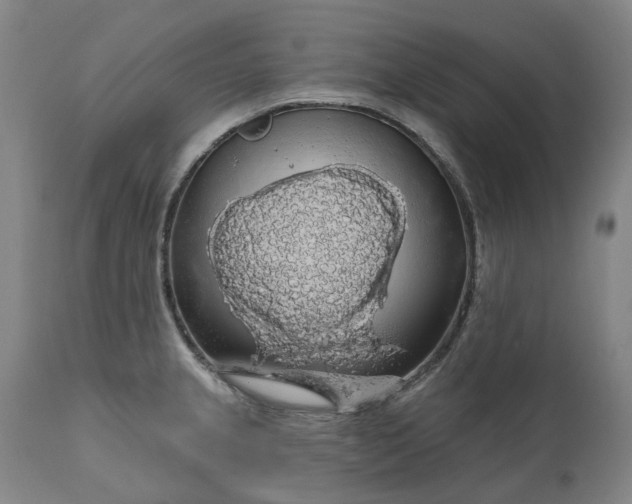 X0000111201237200907151406