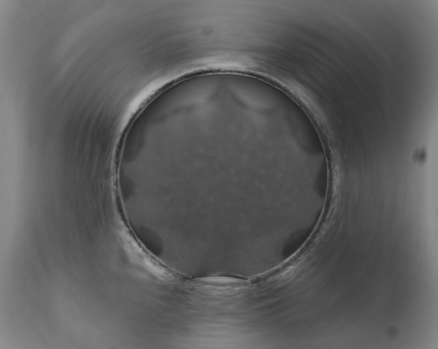 X0000111201240200907151406