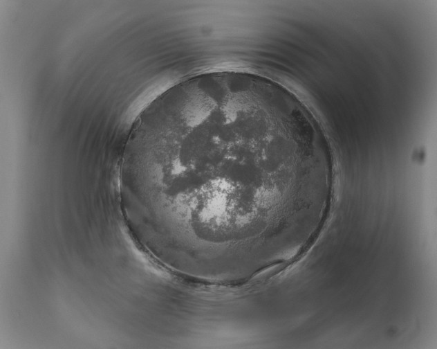 X0000111201241200907151406