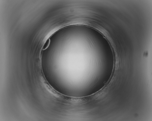 X0000111201242200907151406