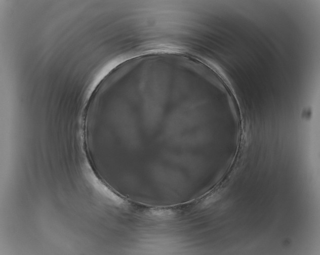 X0000111201243200907151406