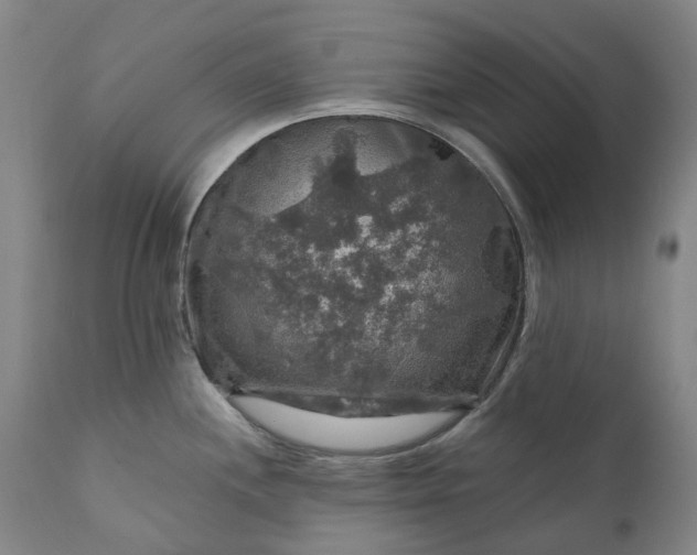 X0000111201244200907151406