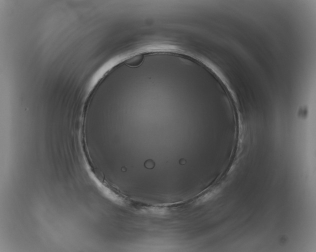 X0000111201245200907151406