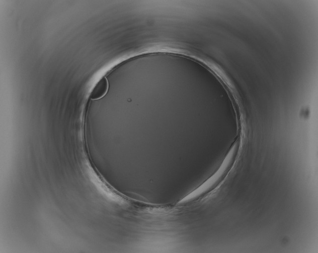 X0000111201246200907151406