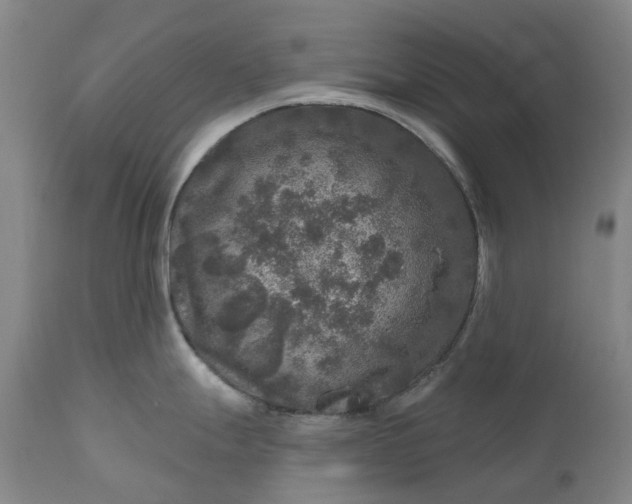 X0000111201247200907151406