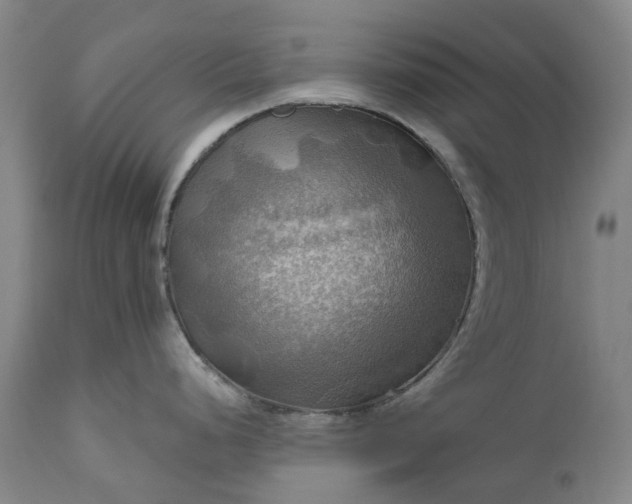 X0000111201248200907151406