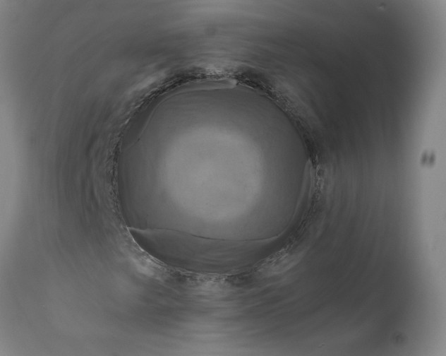 X0000111201249200907151405