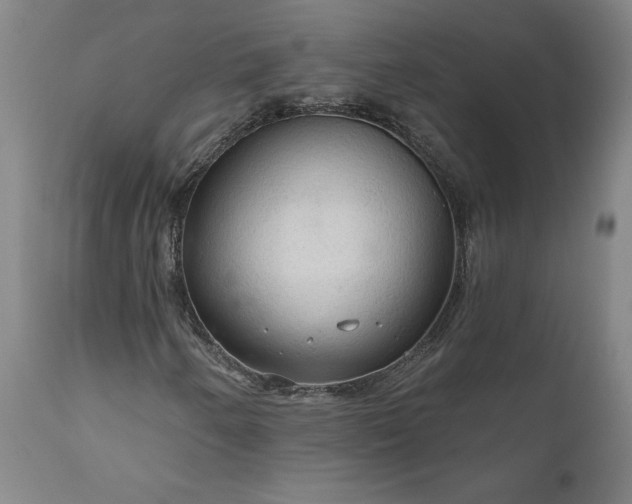 X0000111201250200907151405