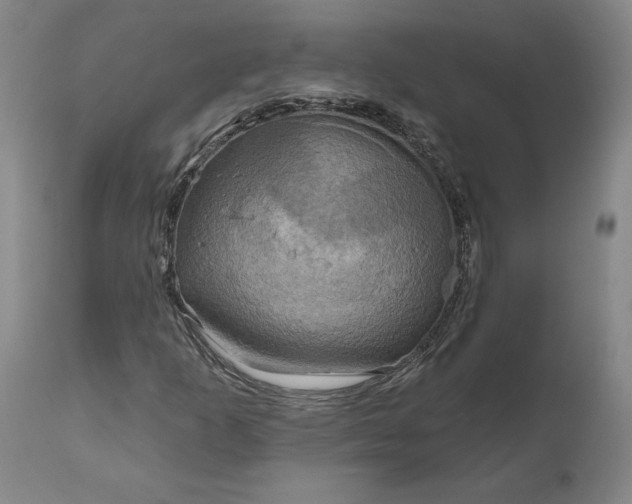 X0000111201253200907151405