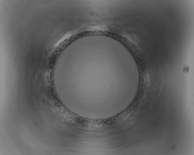 X0000111201254200907151405