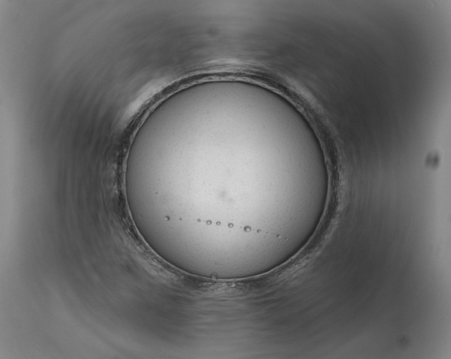 X0000111201259200907151405